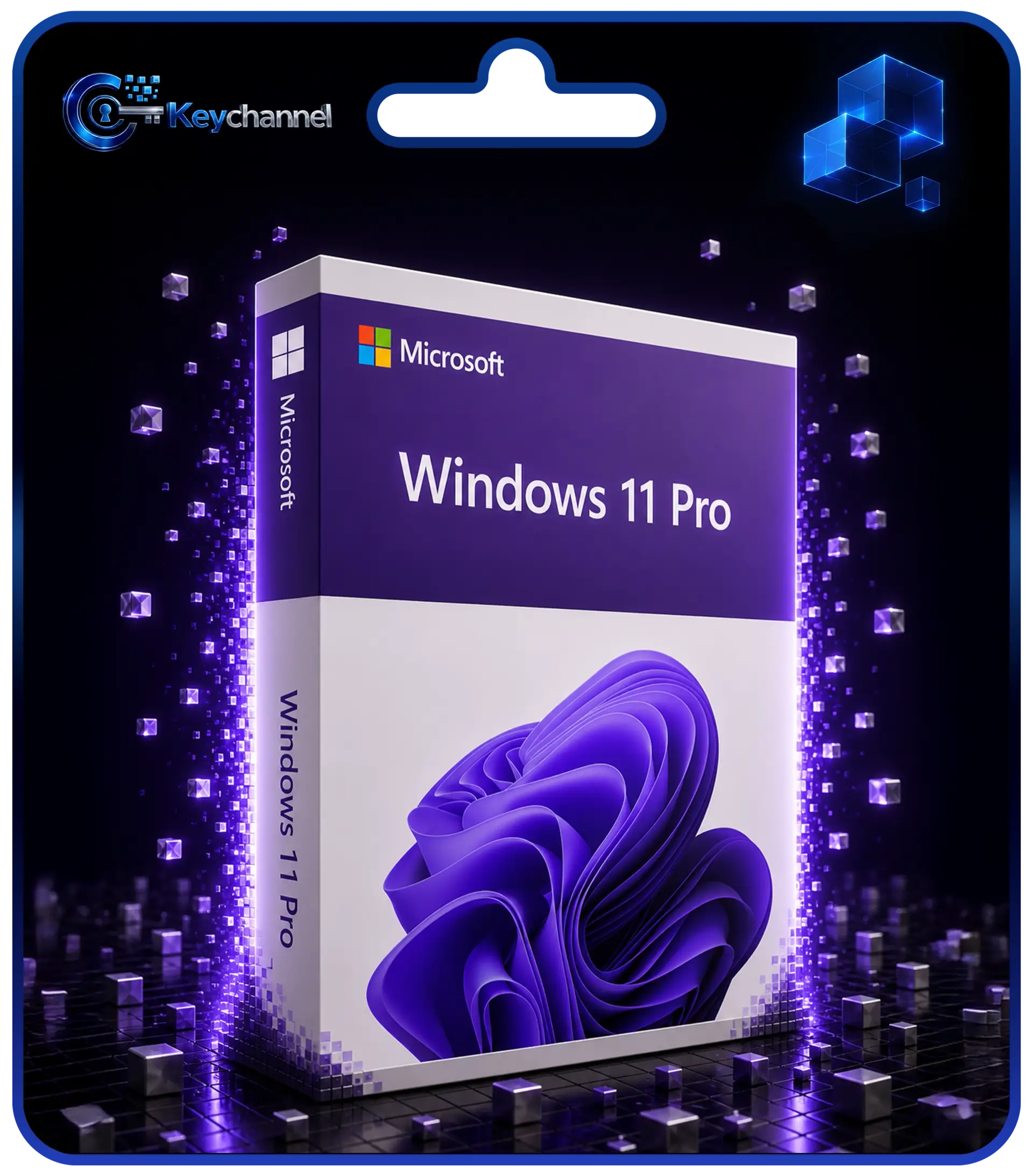 Windows 11 Pro